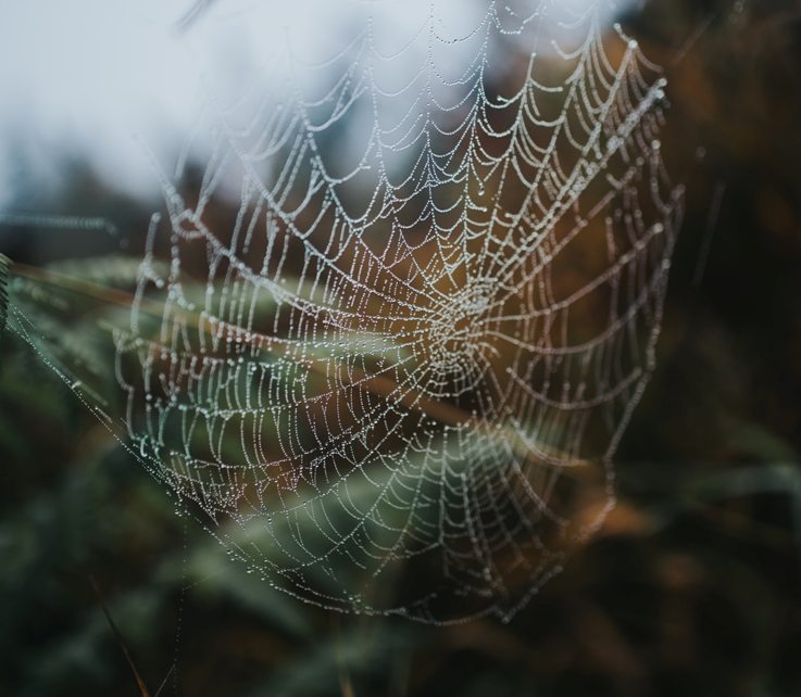 cole-keister-pzq1eA-XKFk-unsplash (1)