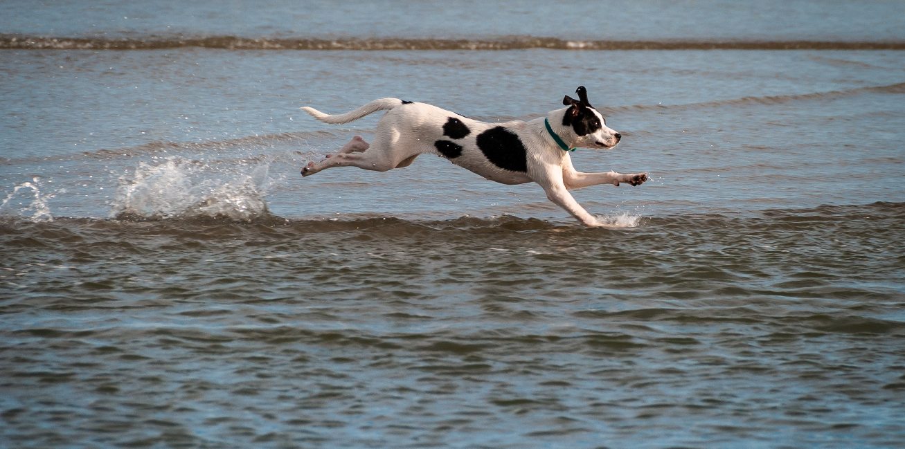 matt-benson-18LuuKeU__s-unsplash (1)